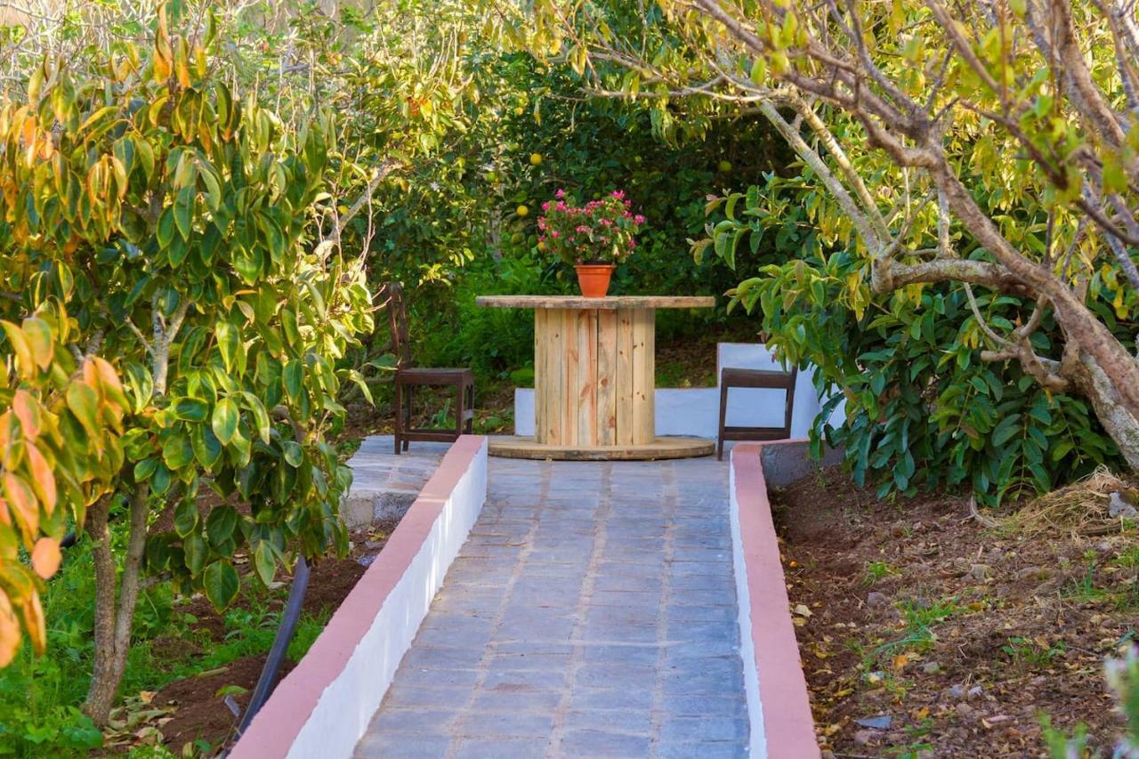 Casa Cueva Villa Aday Santa Maria de Guia de Gran Canaria 外观 照片