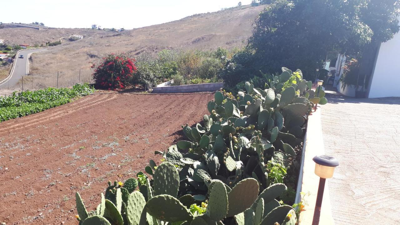 Casa Cueva Villa Aday Santa Maria de Guia de Gran Canaria 外观 照片